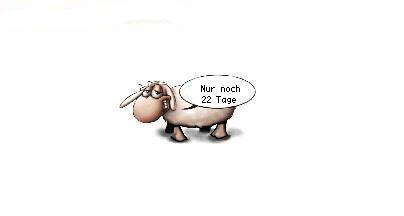 Nur noch 22 Tage